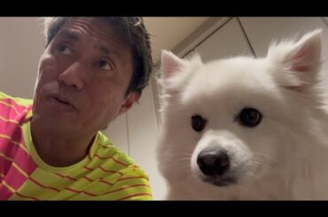 【雑談、日報】体が四つ欲しいと思った今日日曜日。カメラマン、バドミントンコーチ、金魚愛好会会長職、ギタリス、それぞれの大事なイベントがなんと同日開催に