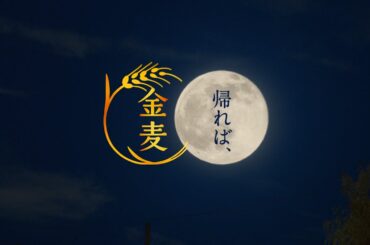 金麦『月が光る夜＋月が笑う夜』篇 30秒 竹野内豊 黒木華 サントリー CM