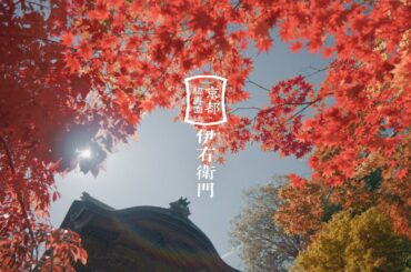 サントリー緑茶 伊右衛門『伊右衛門  心に、京都を。紅葉。』篇 30秒 奈緒 青木柚 サントリー