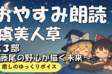 【おやすみ朗読】夏目漱石「虞美人草 第3部」｜深い眠りへ導く物語｜【霊夢と魔理沙のゆっくり読み聞かせ】【BGM無し】【2時間】