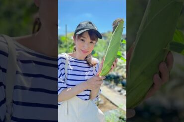 【堂真理子】いますぐ動こう、気温上昇を止めるために。【1.5℃の約束】#shorts