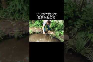 モヤさま　突然の悲劇