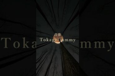 朗読ライブ『月面文字朗読一例』2025/2/23-24