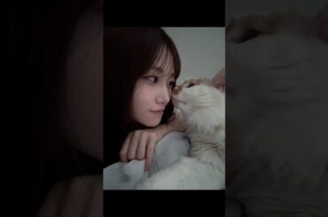 向井純葉 いとちゃんとポッケ♩♩ぽっちぇ 櫻坂46