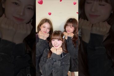 止まらない💖💖 #AYAKA #RIMA #MIIHI #NiziU #ニジュー #니쥬 #WithU #NEW_EMOTION_Tour #FaceToFace #にゅーえも