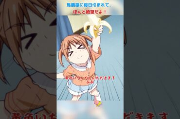 馬鹿猿に毎日络まれて、ほんと絶望だよ！/アホガール/ばかびがく/悠木碧 / 杉田智和 / 原田彩枫 /shorts/movie