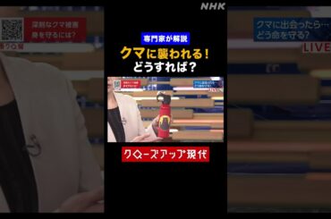【専門家が解説】クマに襲われる！どうすれば？【クロ現】| NHK | #shorts