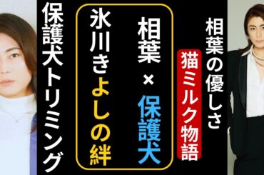 「氷川きよし×相葉雅紀 保護犬トリミングに感動✨ 有働由美子＆遠藤憲一は猫ボランティア」 #氷川きよし #相葉雅紀 #エンタメニュース