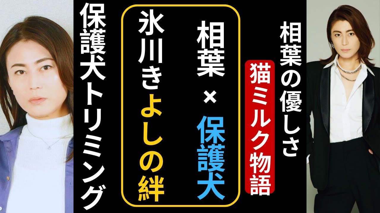 「氷川きよし×相葉雅紀 保護犬トリミングに感動✨ 有働由美子&遠藤憲一は猫ボランティア」 #氷川きよし #相葉雅紀 #エンタメニュース 「氷川きよし×相葉雅紀 保護犬トリミングに感動✨ 有働由美子&遠藤憲一は猫ボランティア」 #氷川きよし #相葉雅紀 #エンタメニュース