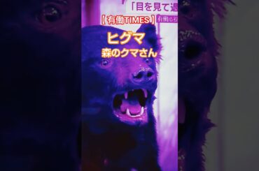 【有働由美子】【有働TIMES】【テレビ朝日】#テレビ朝日 #有働由美子 #有働TIMES #ツキノワグマ先生 #ヒグマ #ツキノワグマ