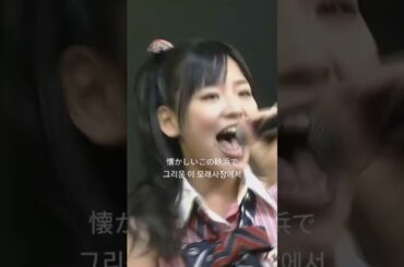 신나는데 어딘가 슬픈 제이팝 띵곡 🫧 | AKB48 - Only Today 온리 투데이 #jpop #노래추천 #제이팝