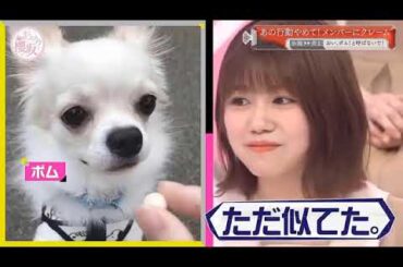 櫻坂そこ曲がったら🌷🌷🌷 櫻坂あの子のアレに困ってますメンバー内クレーム目安箱