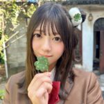 「君は四つ葉のクローバー」🍀