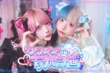 【MV】カワイイ育成計画/BADQN♡