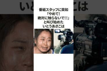 【感動】いとうあさこがスタッフへかけていた優しい気遣い #shorts #いとうあさこ