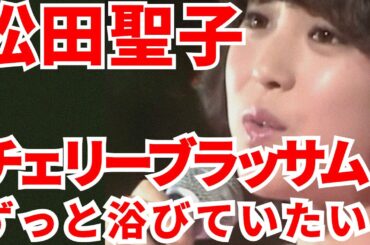 オケ消4 松田聖子 チェリーブラッサム オケを消して歌声だけにしてみました！パワー全開な歌姫の迫力をお聴き下さい ボーカルオンリー デビュー45周年