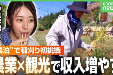 【農業の未来】「農泊」で客ゼロ→400万円の“プラス収入”事例も…日本の農業がインバウンドの新たな“観光資源”に？｜アベヒル