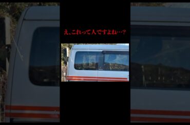 え、そうですよね・・・？ #shorts