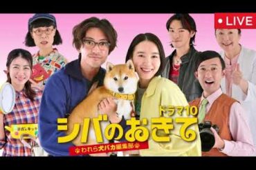 シバのおきて1話【再放送/見逃し配信/ドラマ/無料/フル/われら犬バカ編集部/第1回】NHK2025年9月30日初回放送分 LIVE FULL