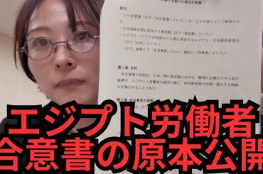 【エジプト労働者流入】仕方ないので、原本を公開します。