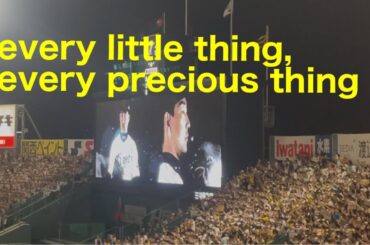 2025.9.7 阪神タイガース優勝試合　岩崎登場曲　every little thing, every precious thing /LINDBERG