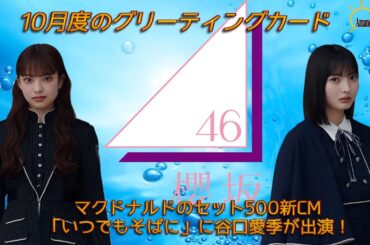 【ニュース】櫻坂46を熱く語る【櫻坂46】