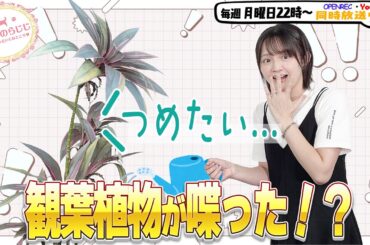 【第312回】にししのらじじ～西明日香のだいじなところ♡～