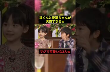 福くんと愛菜ちゃんが天然すぎるw#お笑い #プチ知識 #面白い #shorts