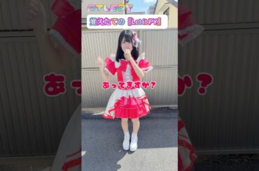 ワンマンライブまであと【81日】‼️ #idol #アイドル #推し活 #かわいい #ライブアイドル #ダンス #推し不在 #ライブ #アイドルライブ #かわいい #アイドル衣装