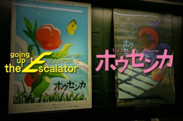 【フェア告知】『ホウセンカ』公開記念ポスター展【going up the Escalator】