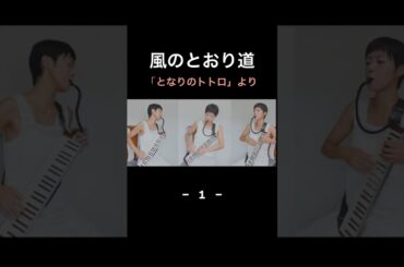 【鍵盤ハーモニカで楽しむジブリ】風のとおり道 （となりのトトロより）-1-  #melodica #ジブリ #風のとおり道