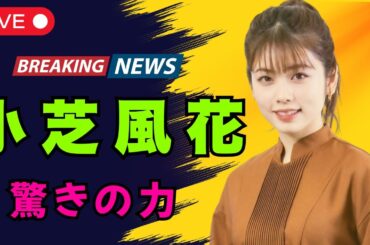 「小芝風花が愛される理由」共演俳優も絶賛…“ポスト永野芽郁”の声と驚きのコミュ力【DramaArena】#小芝風花 #芸能ニュース #DramaArena