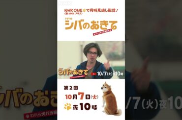 【ドラマ10 シバのおきて】大東駿介 飯豊まりえ 第2回 15秒PR | NHK | #shorts