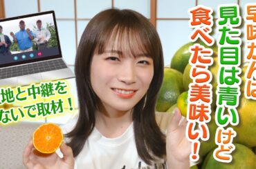見た目は青いが、食べたら美味い！？秋元真夏が福岡オリジナル品種「早味かん」を取材！