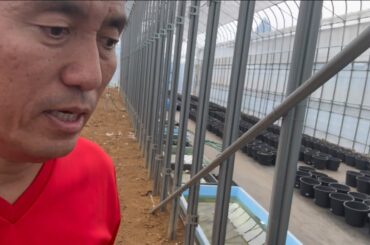 ジョウロで水を撒く区議会議員選挙と雨を降らせる区長選挙