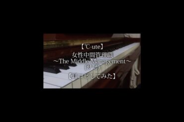 #ハロプロ #c_ute #c_uteの日 #矢島舞美 #中島早貴 #鈴木愛理 #岡井千聖 #萩原舞 #耳コピ #ピアノ #TheMiddleManagement女性中間管理