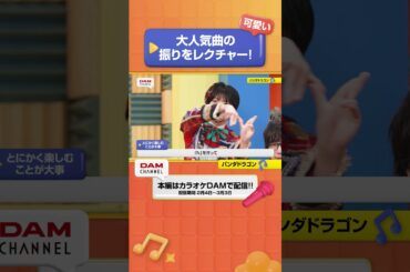 可愛い！大人気曲の振りをレクチャー‼ #パンダドラゴン #ないとびふぉーあだんす #パラパラチャレンジ #パラゴン #DAMCHANNEL #DAMチャンネル #森香澄 #チャンカワイ