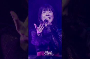 ♪ 失墜の夏 Live ver.  #ringwanderung #live  #idol