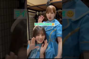 かとし&こさかな💞4回目のひな誕祭👏💗この舞台衣装好きだなぁ🎵　　　　　　　　　　#日向坂46 #shorts