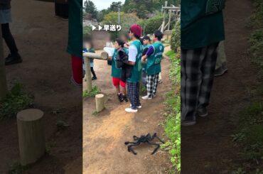 巨大グモドッキリ🕷️ spider plank