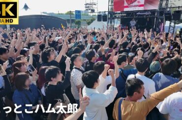 【肉フェス 2025 × アニメメメ】とっとこハム太郎　「ハム太郎とっとこうた」/ オタ芸 コール やぐらお台場 Meat Fes