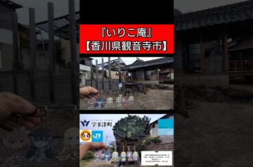 『いりこ庵 「香川県観音寺市」』「真紅の刃」【2025年10月3日(金)】