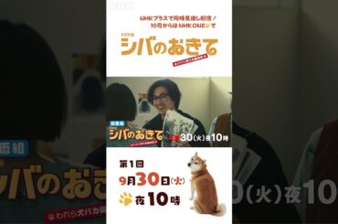 【ドラマ10 シバのおきて】大東駿介 飯豊まりえ 15秒PR 編集部編！| NHK | #shorts