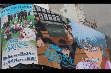 銀魂 番外編 3年z組銀八先生 アニメフル全話 ぼっちぼろまる新曲 銀魂 海外の反応 杉田智和 石田彰 雀魂 銀魂コラボ anime reaction 坂田銀時 声優 gintama reaction