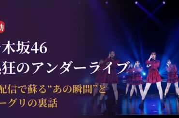 乃木坂46 Nogizaka46 熱狂の1日！アンダーライブ再配信からミーグリまで感動連発【2025最新情報】