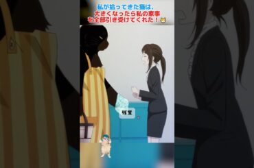 家事ができる猫を飼うのは、どんな体験ですか？/デキる猫は今日も憂鬱/安元洋贵 / 石川由依 / 加隈亚衣 / 小西克幸 /#shorts #anime