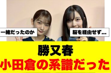 勝又と小田倉はぼぼ一緒？