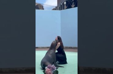 衝撃体験！！まさかのオタリアちゃんから熱い〇〇🤣(撮影&笑い声：田中美海） #シーパラ  #八景島シーパラダイス  #キス #オタリア  #輪投げ #shorts