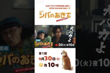 【ドラマ10 シバのおきて】大東駿介 飯豊まりえ 15秒PR シバ犬編！| NHK | #shorts