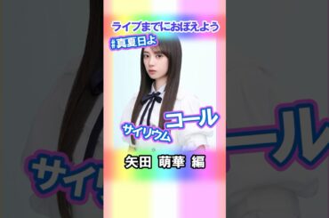 【矢田萌華】コールとサイリウム【真夏日よ】 #乃木坂46 #6期生 #真夏の全国ツアー2025神宮FINAL